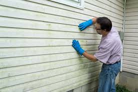 Best Wood Siding Installation  in Escondido, CA